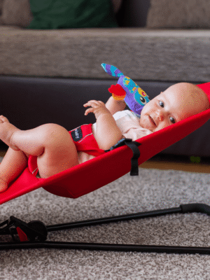 EasyMom beebi lamamistool 2in1